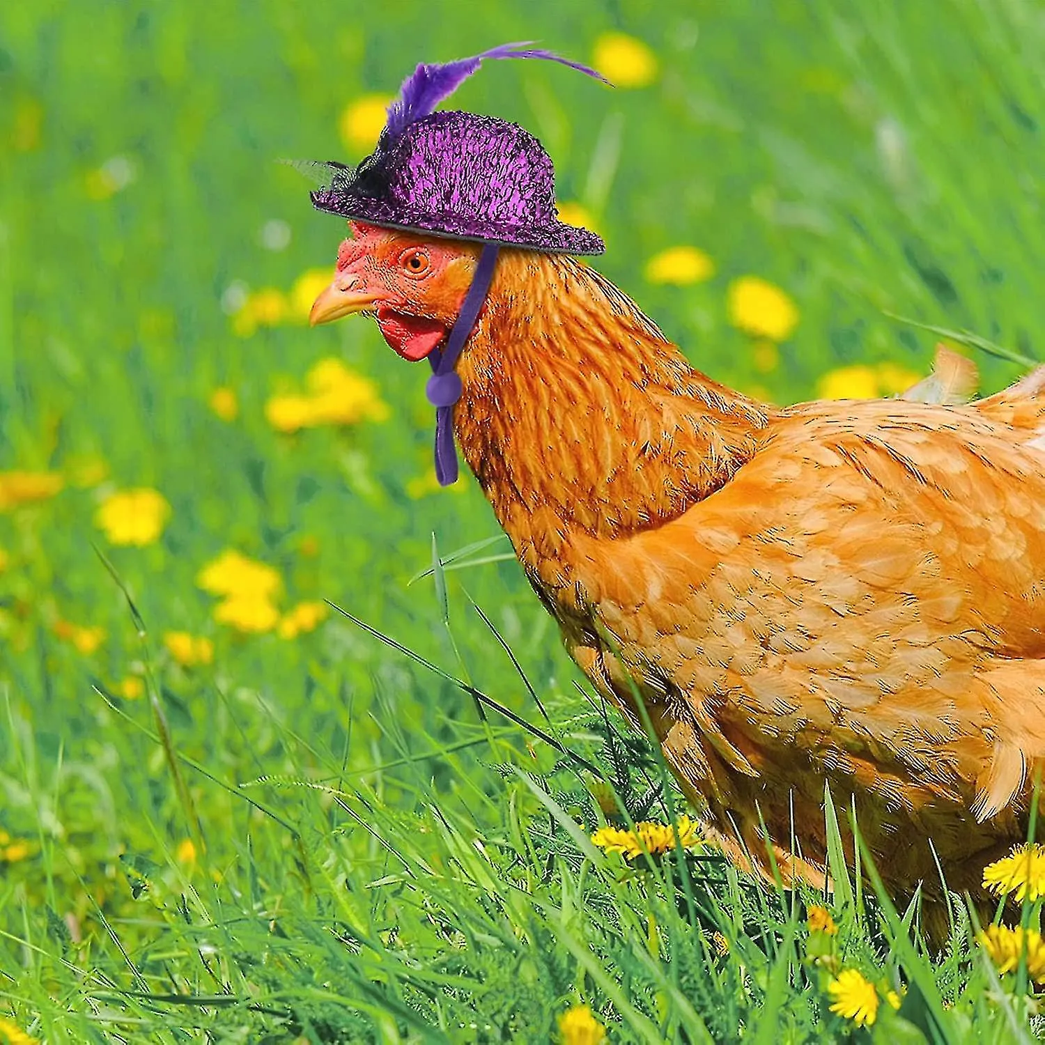 6 Pieces Chicken Hats For Hens Tiny Pets Funny Chicken Accessories Fea