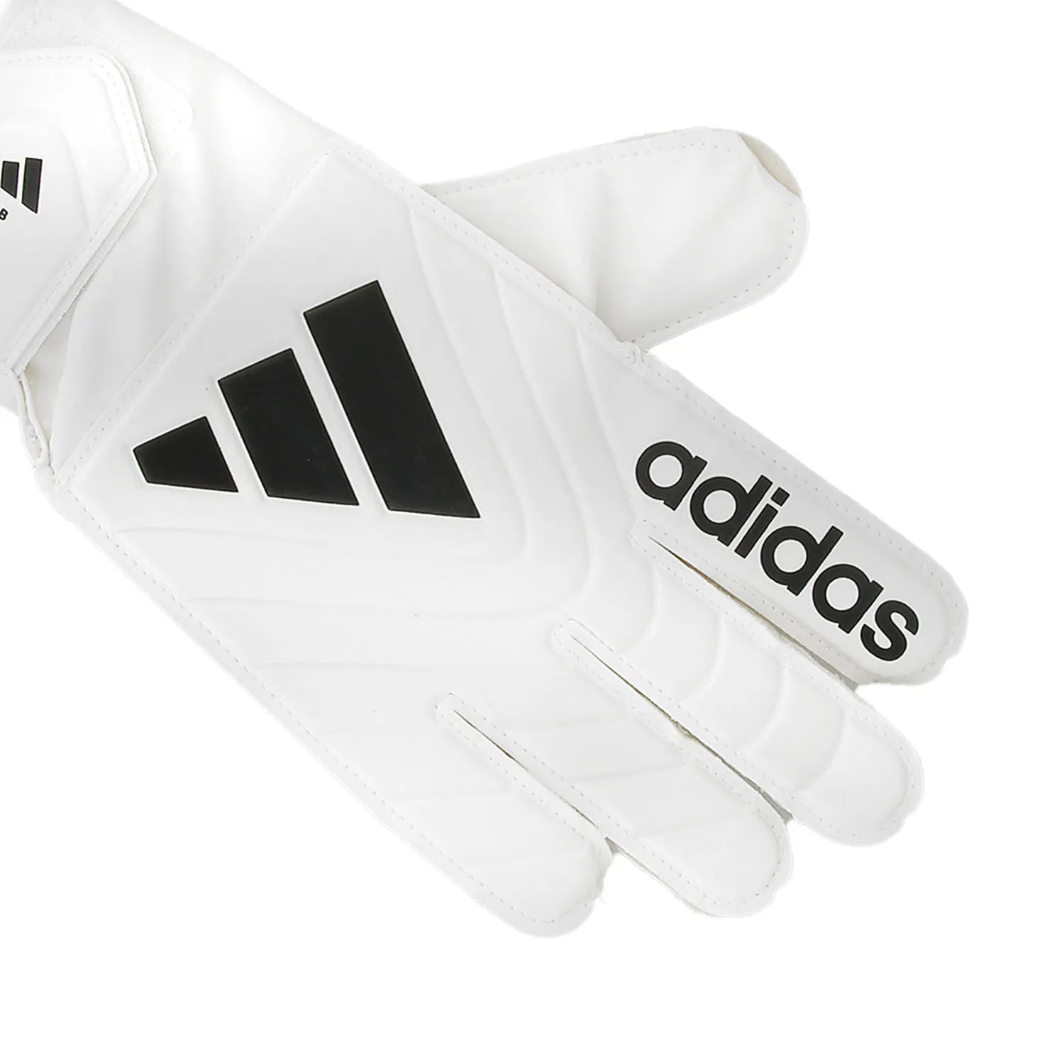 adidas Copa Club