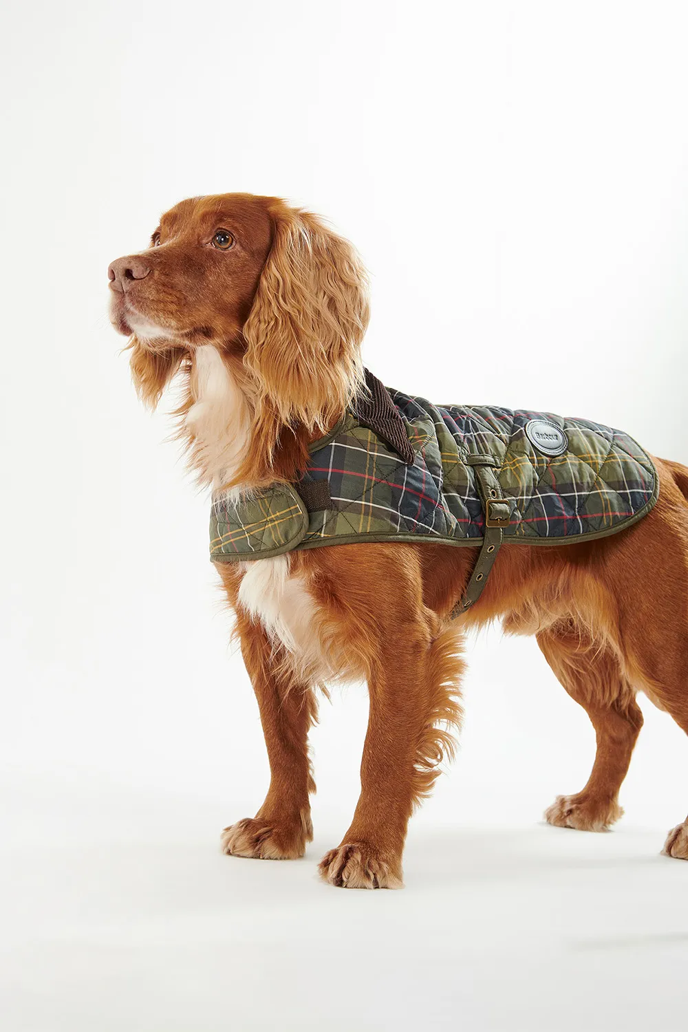 Barbour Abrigo Perro Tartan Quilted