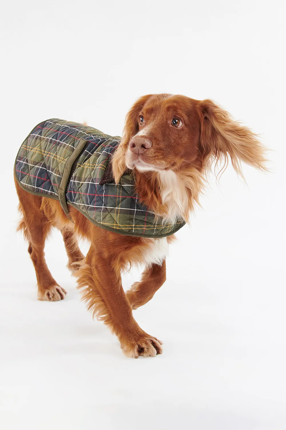 Barbour Abrigo Perro Tartan Quilted