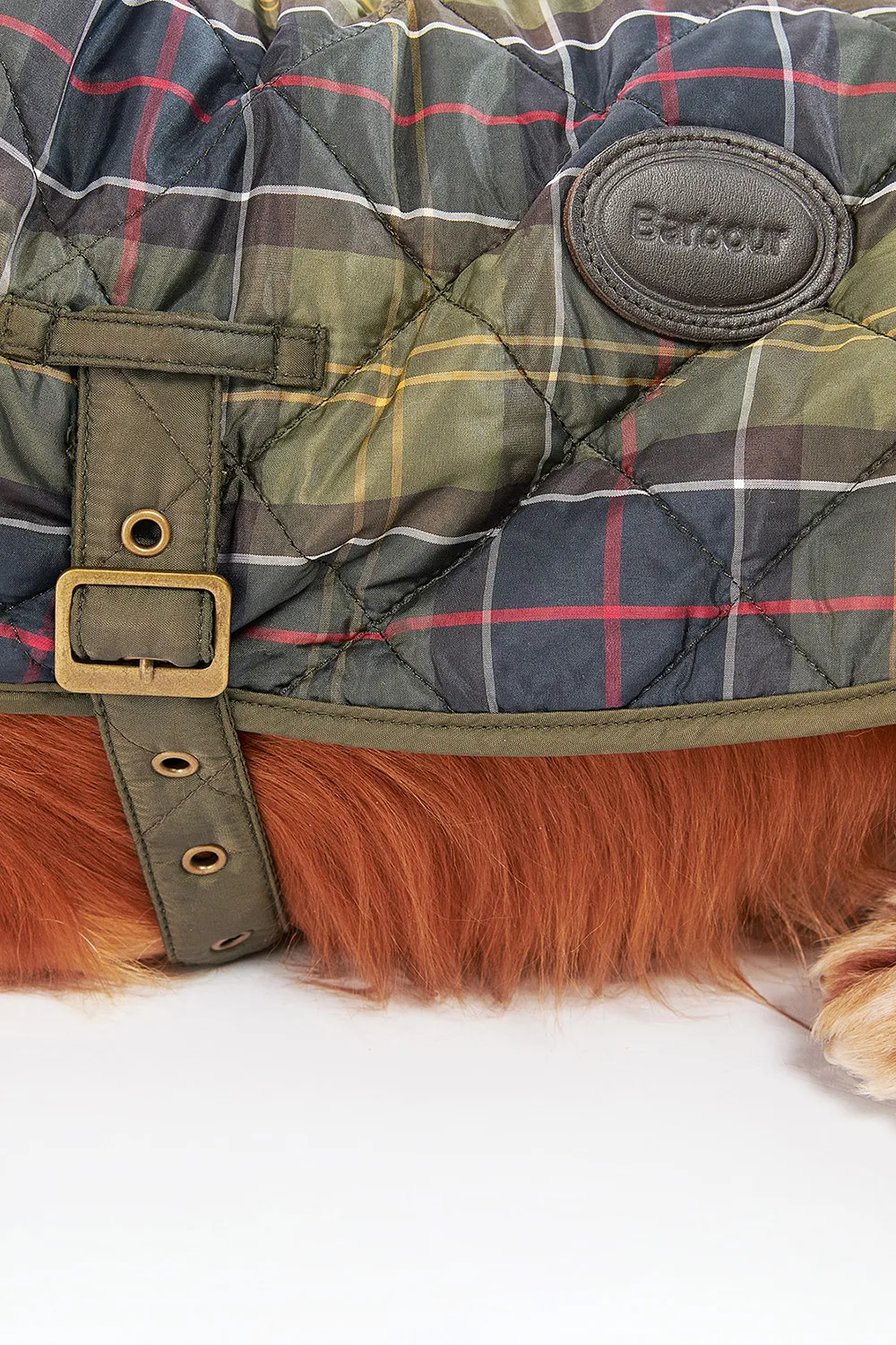 Barbour Abrigo Perro Tartan Quilted