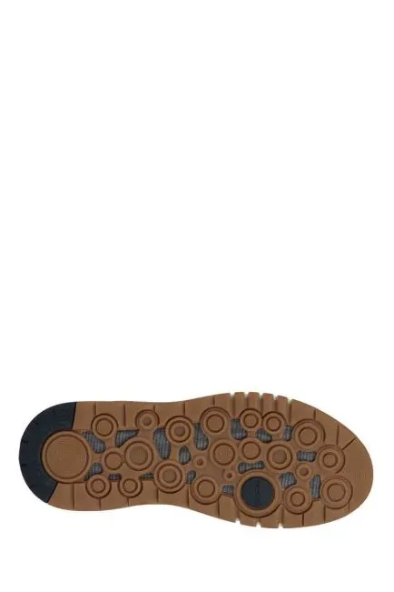 BOTíN AERANTIS  AMPHIBIOX