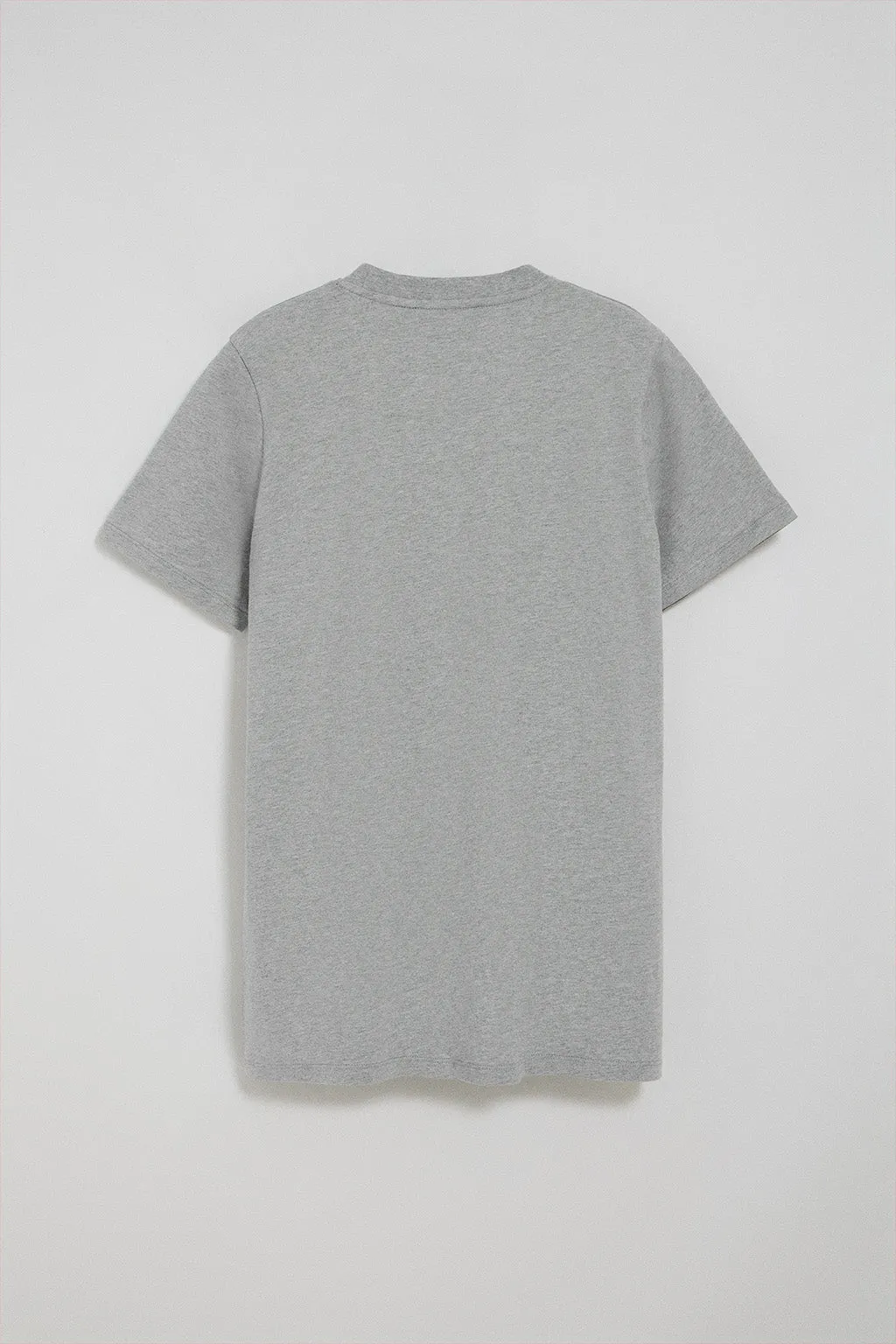 Camiseta gris vigoré con cuello redondo y logo bordado Rigby Go