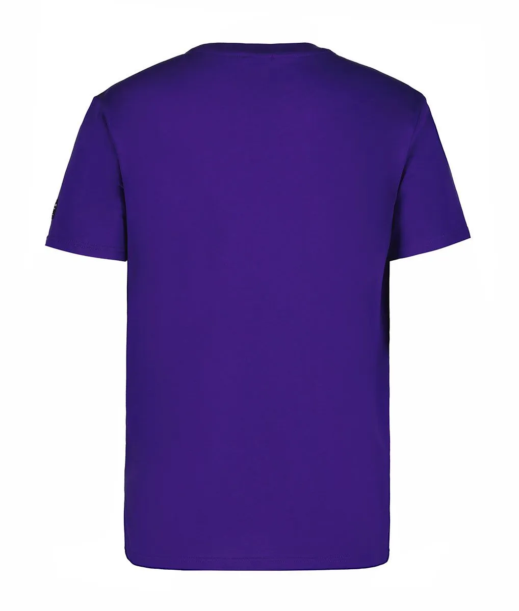 CAMISETA ICEPEAK ALLENDALE TSHIRT