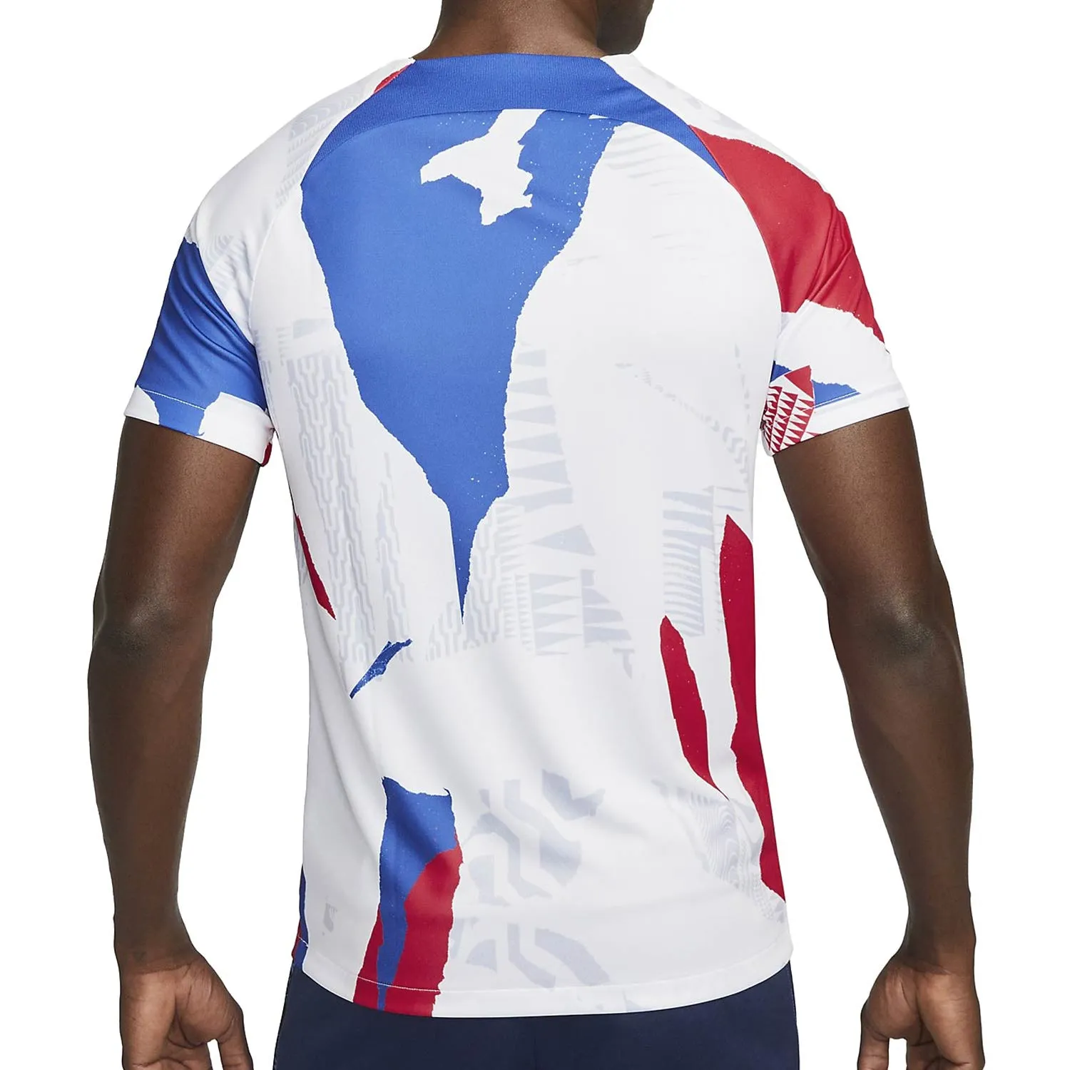 CAMISETA NIKE FRANCIA DRIFIT PREMATCH