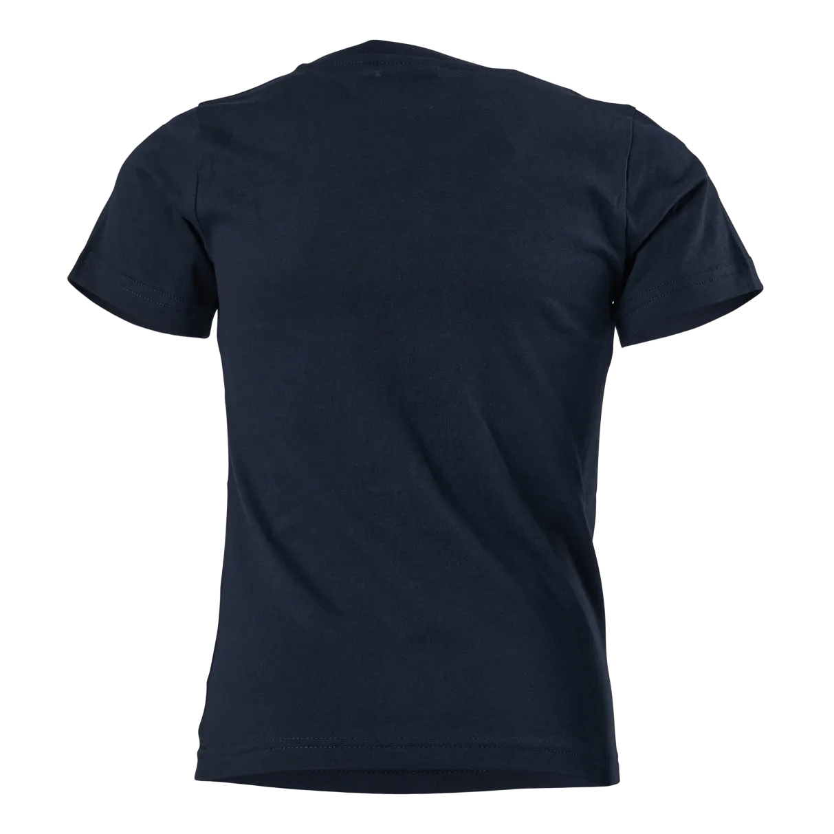 CHAMPION CREWNECK TSHIRT SKY CAPTAIN