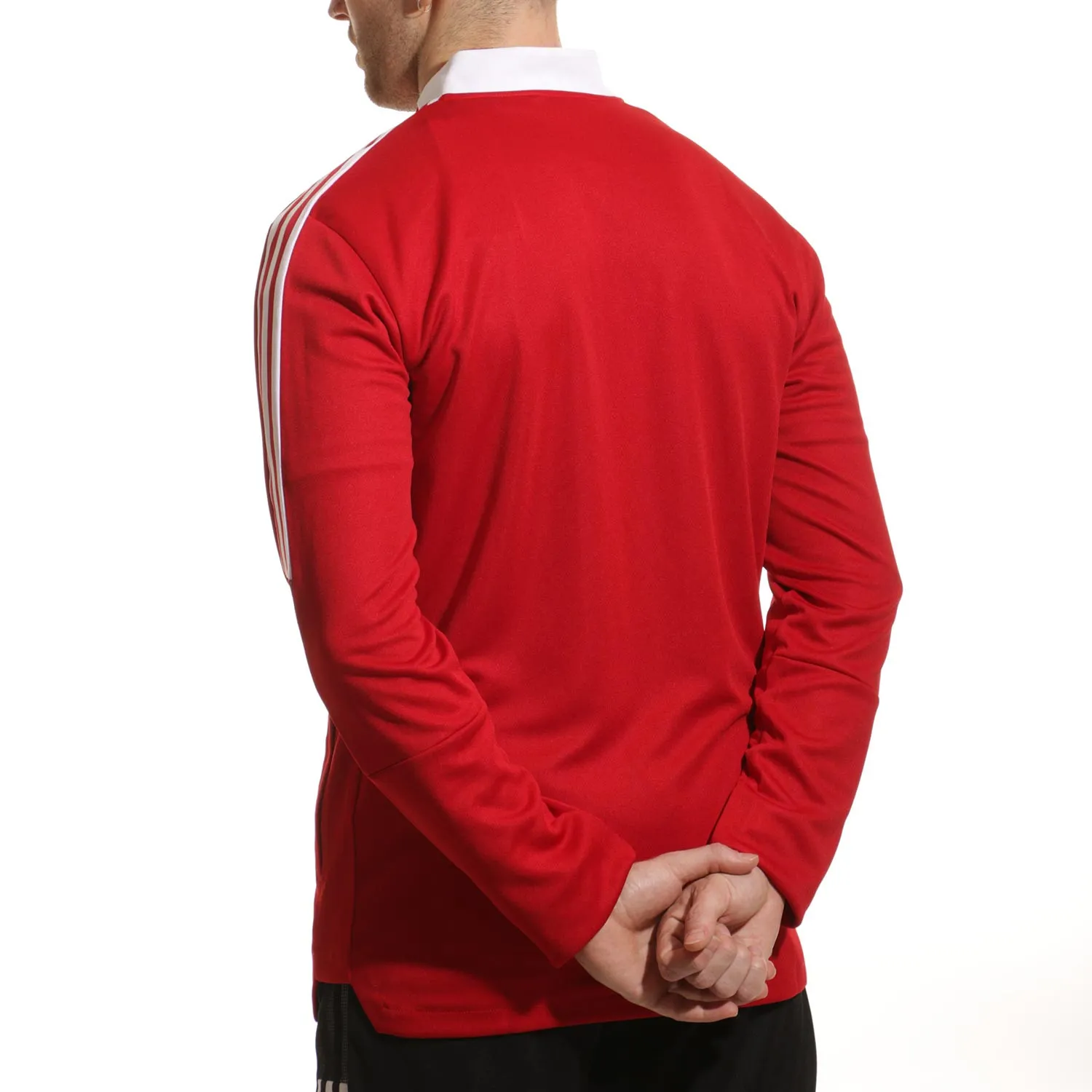 Chaqueta adidas Benfica entrenamiento