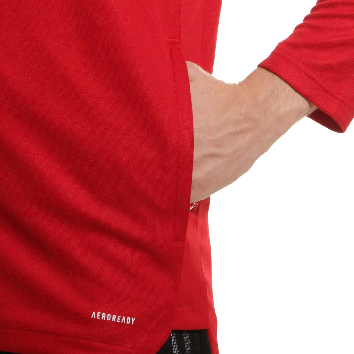 Chaqueta adidas Benfica entrenamiento