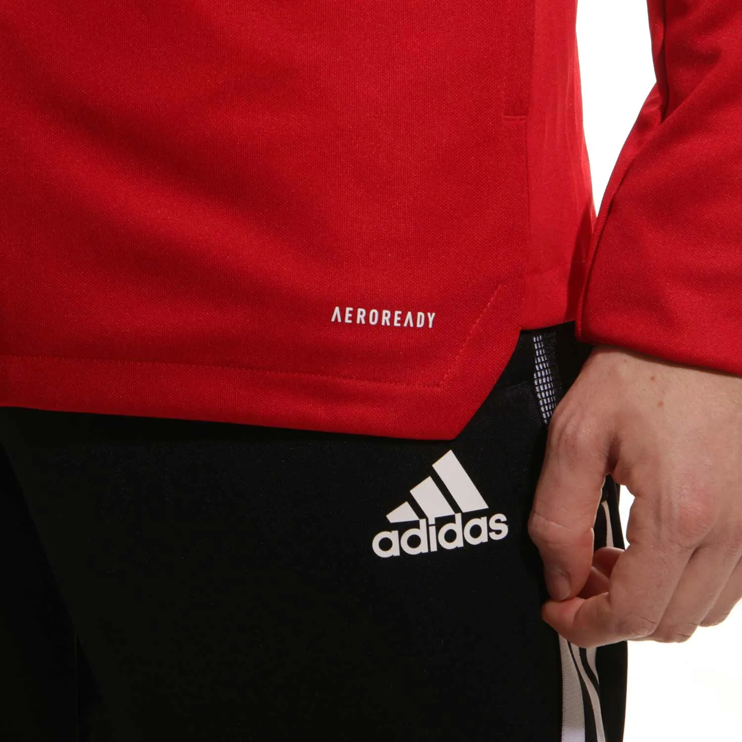 Chaqueta adidas Benfica entrenamiento