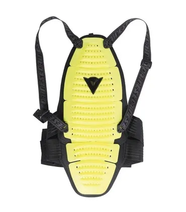 Espaldera Dainese Spine 2