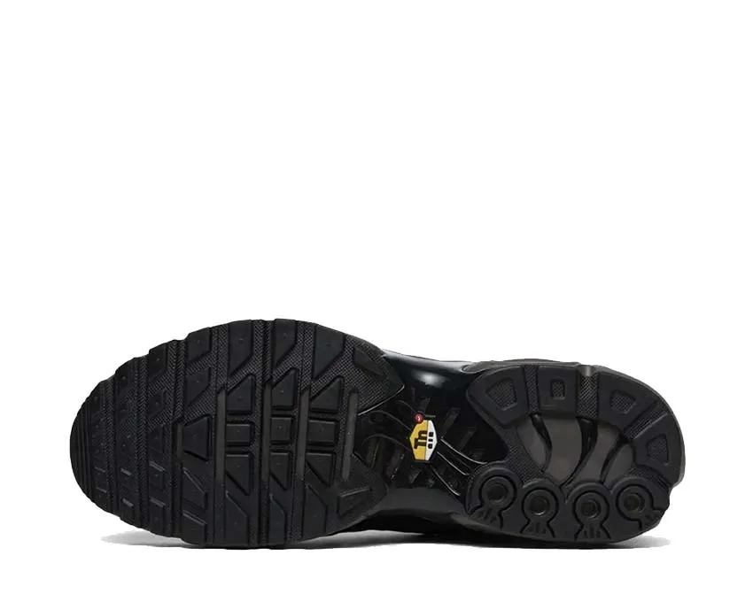 Nike Air Max Plus PRM QS Paris