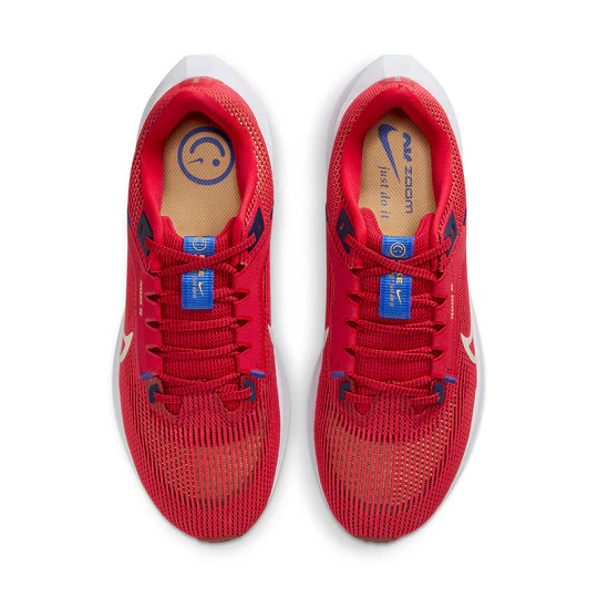 Nike Air Zoom Pegasus 40