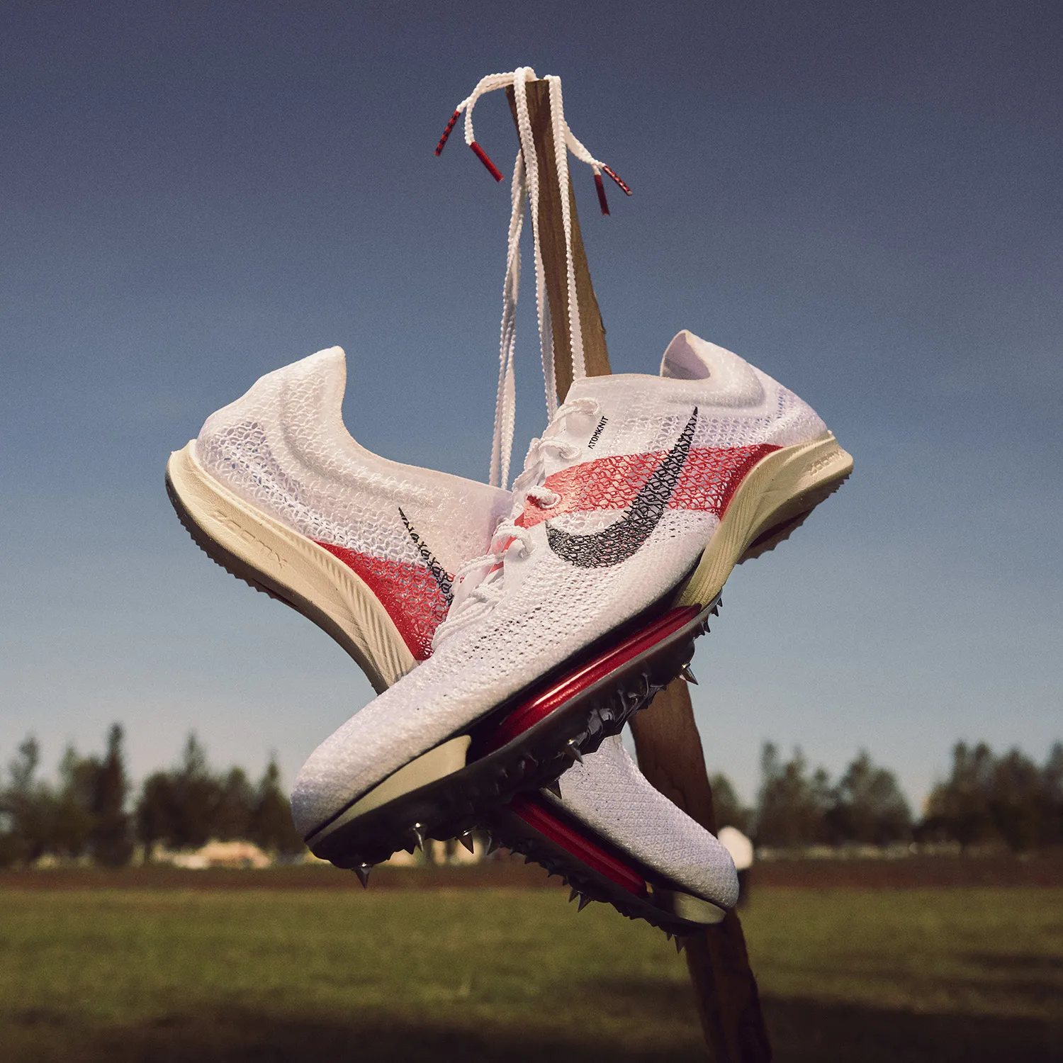Nike Air Zoom Victory Eliud Kipchoge