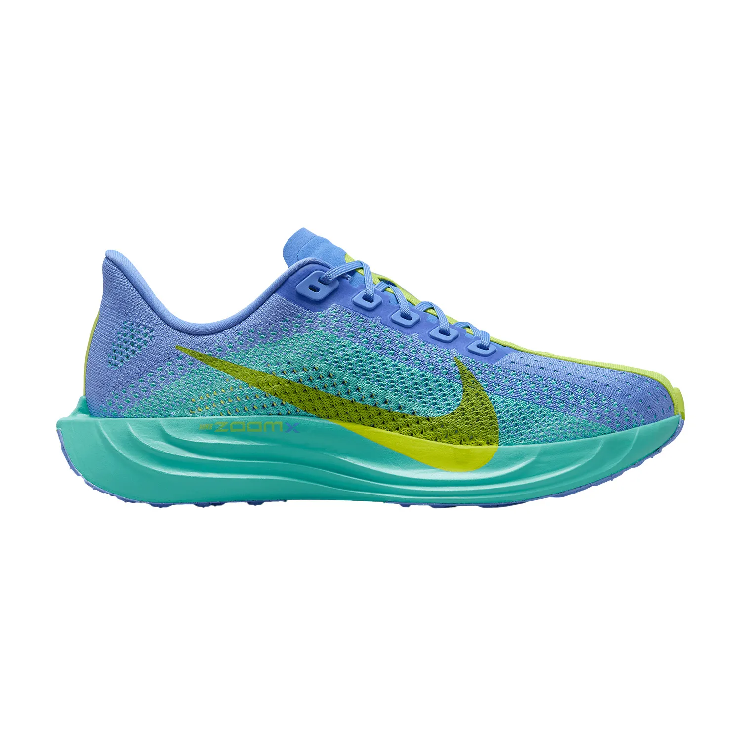 Nike Pegasus Plus