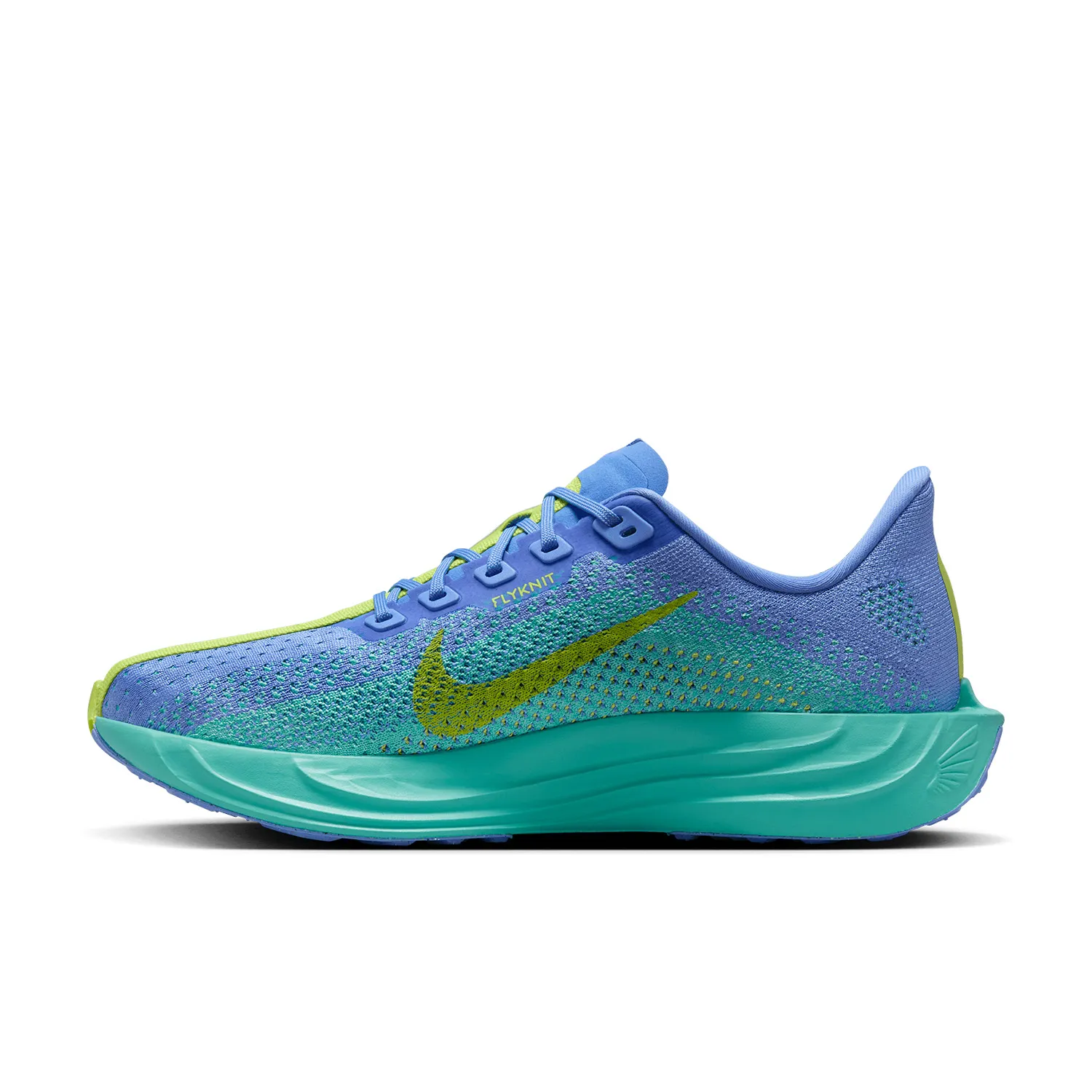 Nike Pegasus Plus