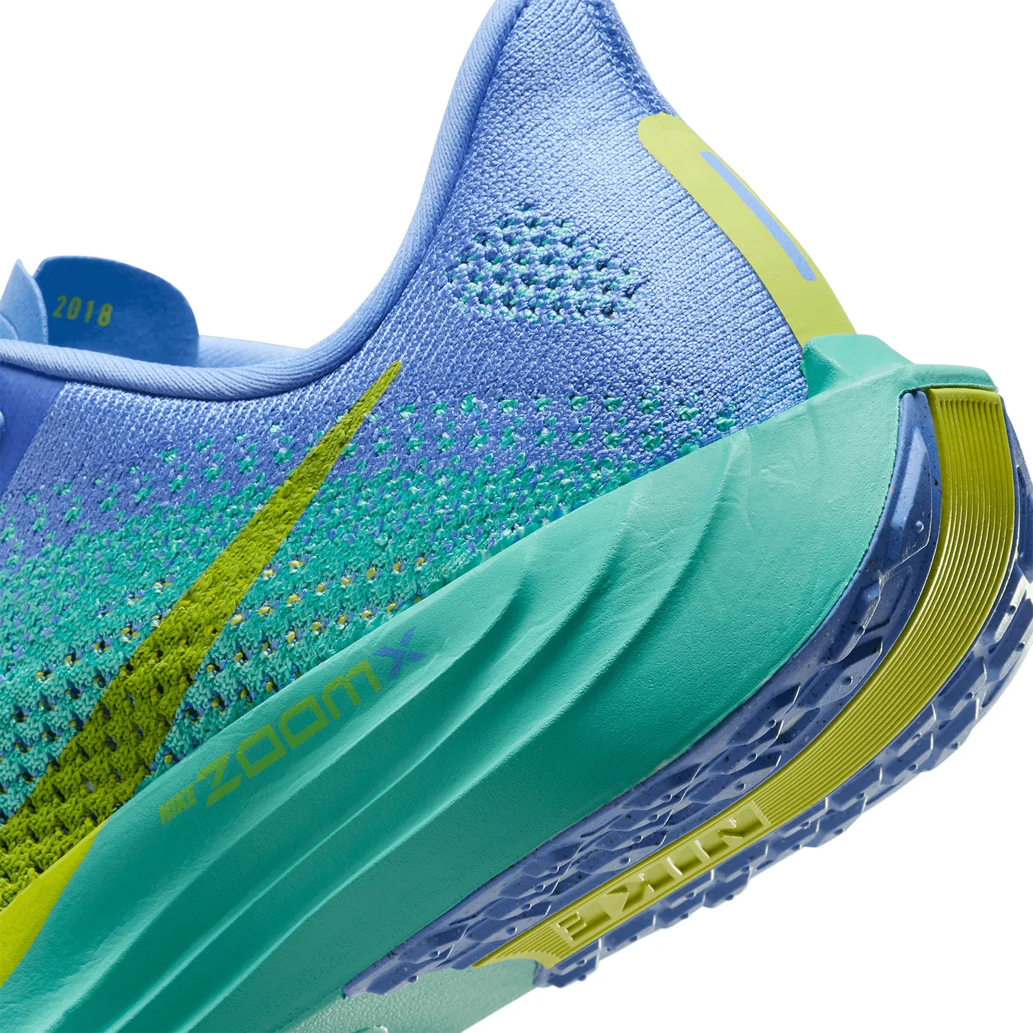 Nike Pegasus Plus