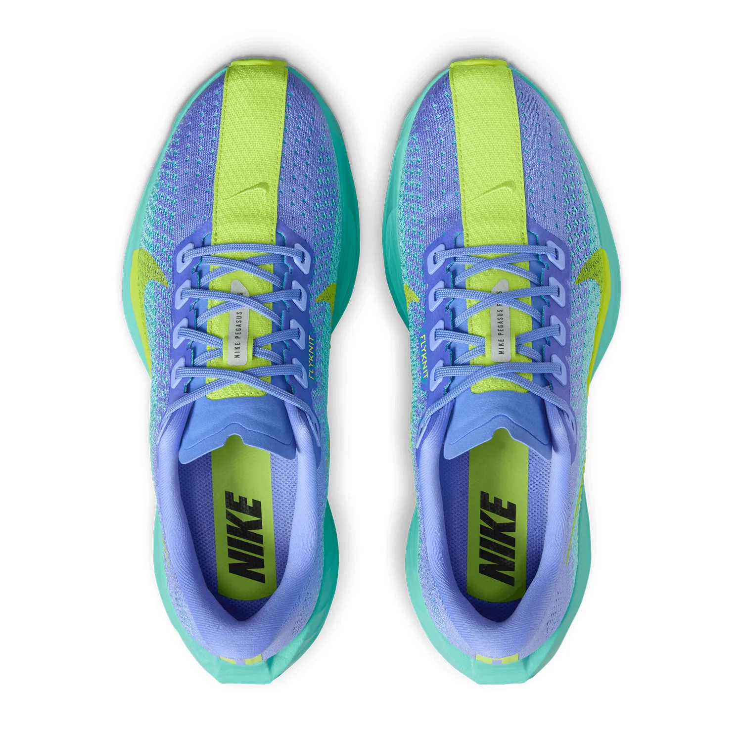 Nike Pegasus Plus