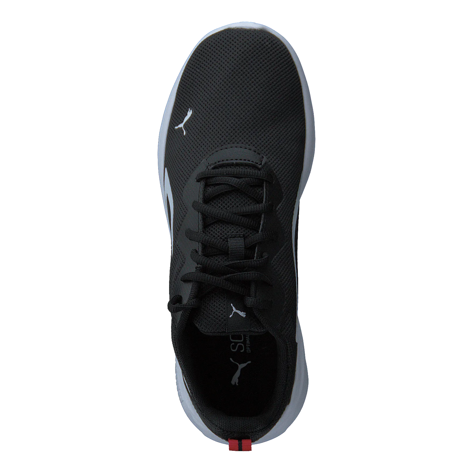 PUMA ZAPATOS ALLDAY ACTIVE PUMA BLACKPUMA WHITE