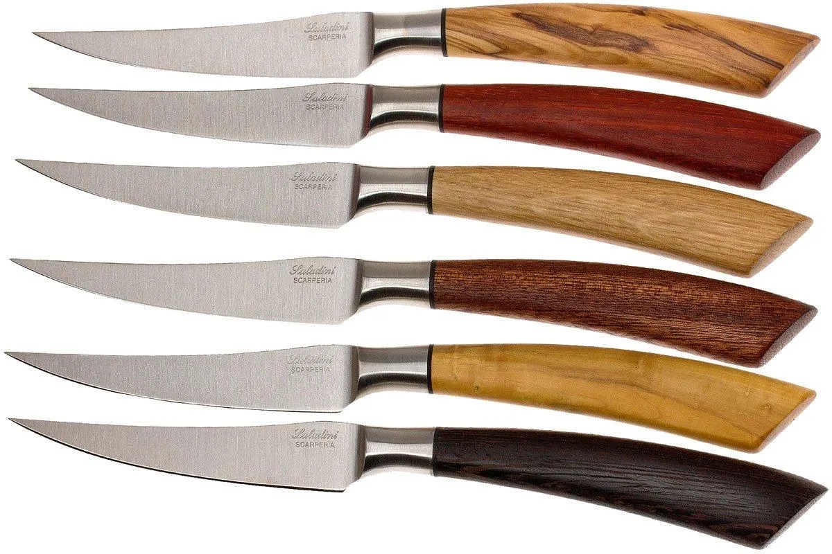 SALADINI 6DELIGE JUEGO DE CUCHILLOS PARA CARNE 23 CM, SET REGALO