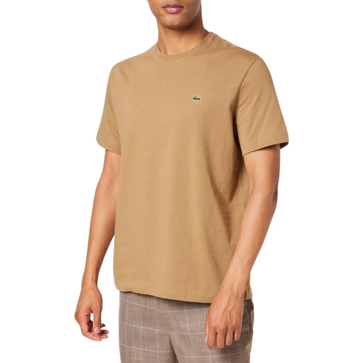 TEESHIRT RAS DU COU MANCHES COURTES